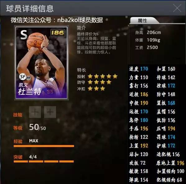 多样性与可
