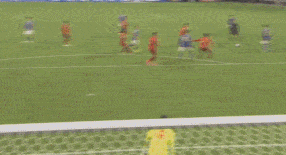 能在激烈的 能在激烈的