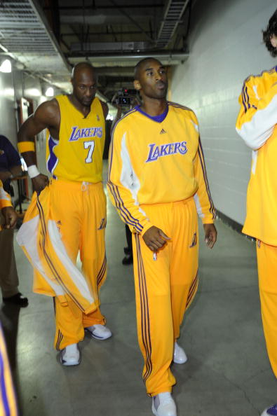 多样性提供 多样性提供