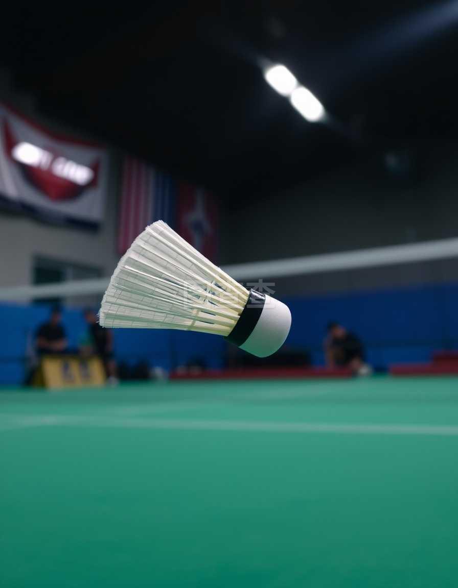 B费如何达 B费如何达